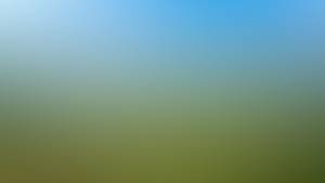 https://x.mediascdn.net/blur/0258fb3275c863fa4af42c98d829946baaf8effa730464988638a509f3b18584.jpeg