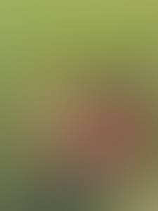 rencontre avec Damon