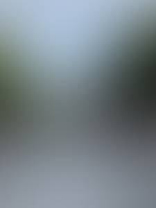 rencontre avec Homer