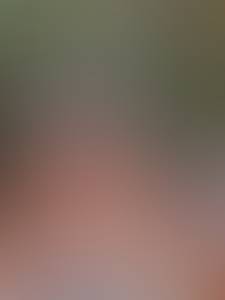 Femme célibataire 61 ans à Toronto