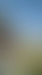 rencontre avec Rodolfo