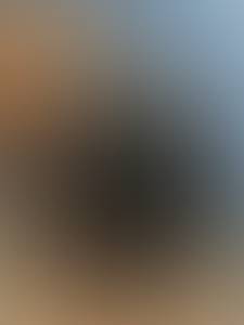 https://x.mediascdn.net/blur/0713581514e270d3028ef9615186f4cd0ffb5f94fea6643c0c5edd3f38eadf47.jpeg