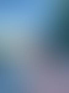 Carlos rencontre avec Carlos