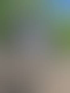 Gerald rencontre avec Gerald