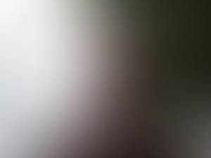 rencontre avec Percy