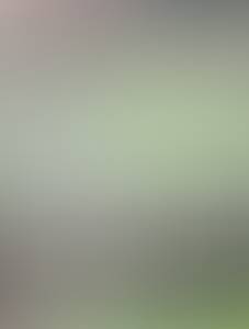 https://x.mediascdn.net/blur/0f6d34594eb174ac6524e6e37f19bea12245273c8620510595a31aae78e39b50.jpeg