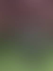 rencontre avec Candace