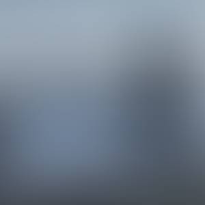 Willie rencontre avec Willie