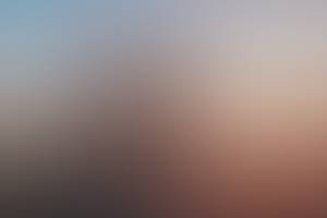 rencontre avec Timmy