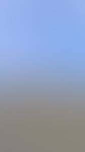 rencontre avec Dixie