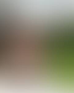 Daniel rencontre avec Daniel