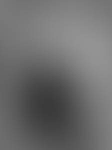 rencontre avec Willie