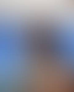 rencontre avec Allison