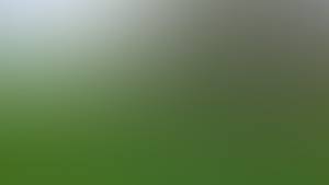 https://x.mediascdn.net/blur/12792c21e2bebc1c6ffb0cc5c77962cd12eb2a20a3951d5f65a5040bd876050e.jpeg