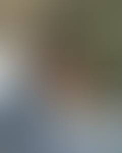 Willis rencontre avec Willis