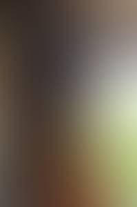 rencontre avec Viola