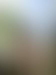 Krystal rencontre avec Krystal