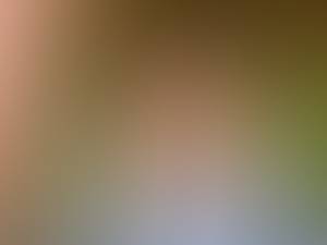 Bonnie rencontre avec Bonnie