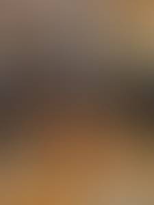 rencontre avec Robert