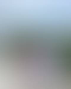 rencontre avec Virginia