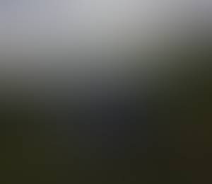 Wilson rencontre avec Wilson