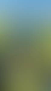 Hugh rencontre avec Hugh