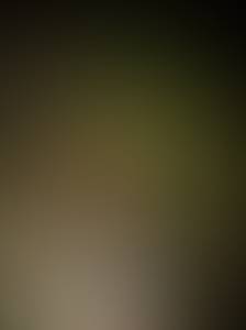 Femme célibataire 43 ans à 