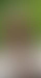 Joe rencontre avec Joe