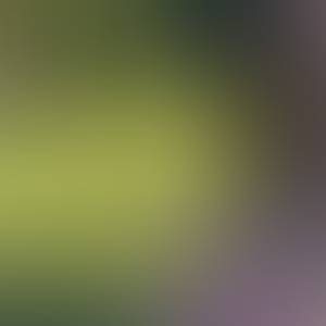 rencontre avec Johanna