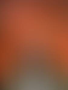 rencontre avec Travis