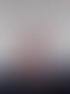 rencontre avec Steve