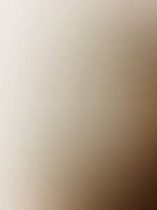 rencontre avec Roosevelt