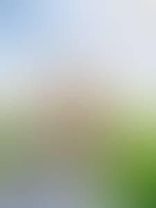 Bobby rencontre avec Bobby