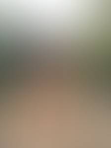 Photo du profil Willis, 42 ans à Uzerche