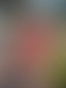 rencontre avec Lillian