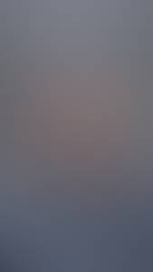 Willis rencontre avec Willis