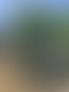 Tara rencontre avec Tara