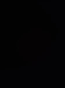 rencontre avec Damon