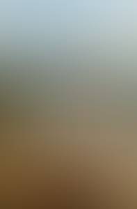 rencontre avec Angelica