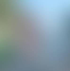 rencontre avec Miranda