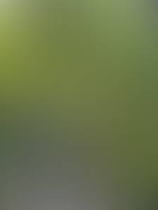 rencontre avec Chester