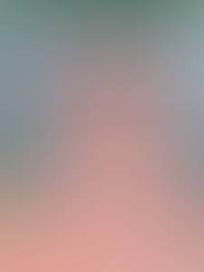 rencontre avec Terry