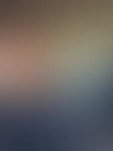 rencontre avec Mitchell