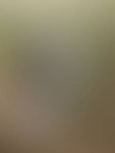 rencontre avec Loren