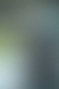 Sylvester rencontre avec Sylvester