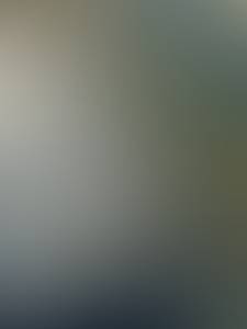 Dorothy rencontre avec Dorothy