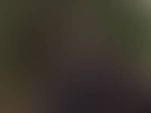 Devin rencontre avec Devin