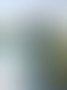 rencontre avec Wendell