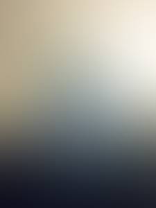 rencontre avec Wilson