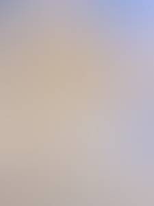 Shawn rencontre avec Shawn